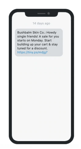 Example of a text campaign on a mobile handset