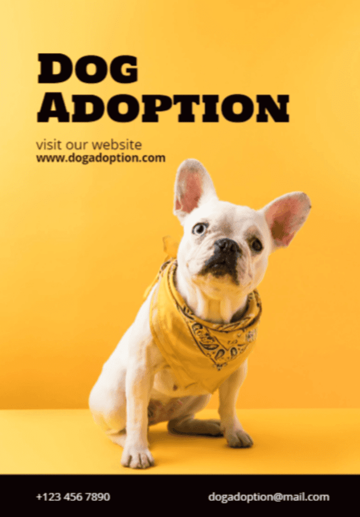 Dog adoption poster
